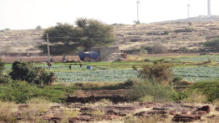 Rajasthan village united by water